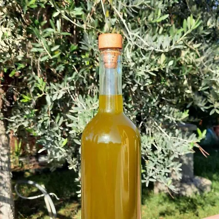 Terra Del Sole Alloggio per agriturismo Riotorto