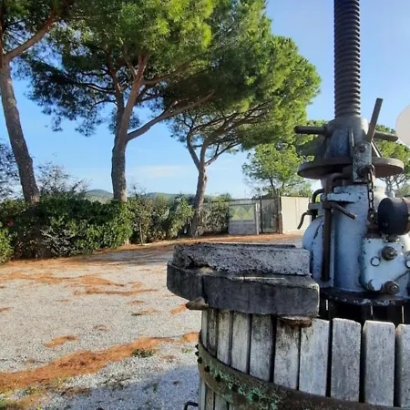 Terra Del Sole Riotorto