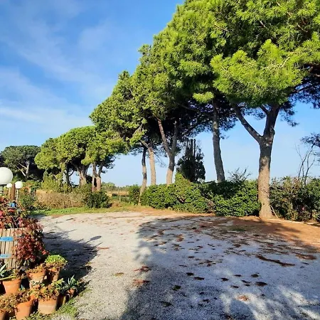 Terra Del Sole * Riotorto