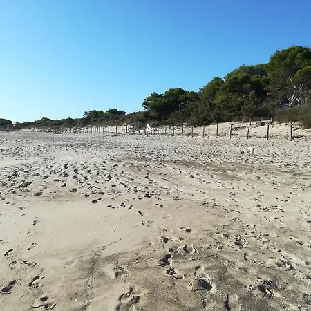 Alloggio per agriturismo Terra Del Sole *