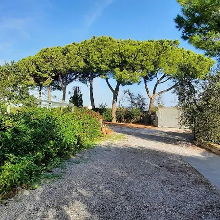 Terra Del Sole *
