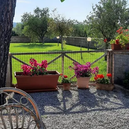 Terra Del Sole Riotorto