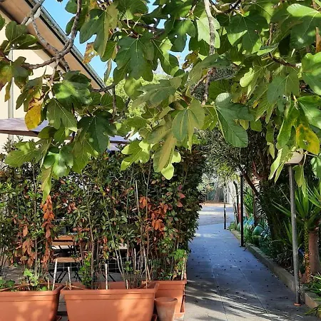 Terra Del Sole Farm stay *