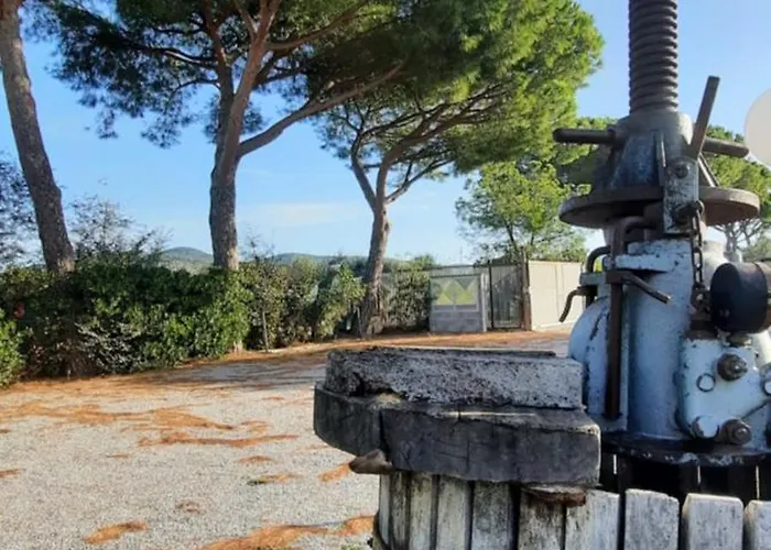 Terra Del Sole Riotorto