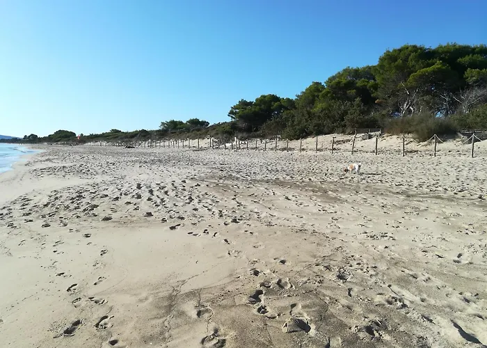 Alojamento de Turismo Rural Terra Del Sole *