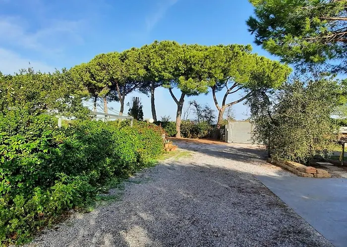 Terra Del Sole *